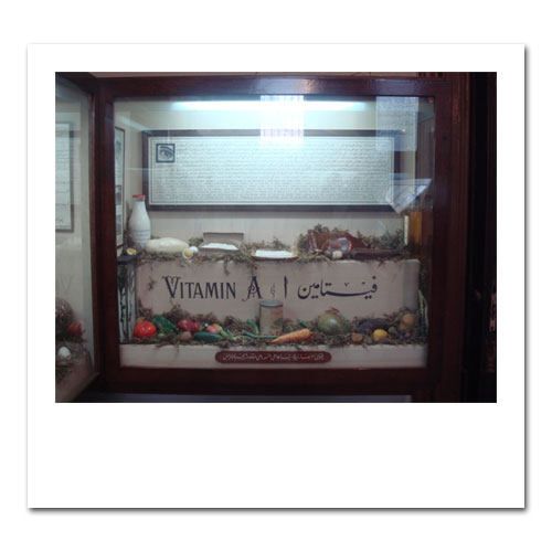 Chalet5 Cairo 2006